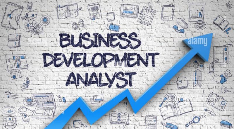 Job Description For Business Development Analyst
