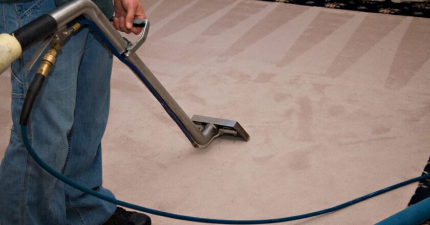Discover the Top Reasons Why Professional Carpet Cleaning is Worth Every Penny